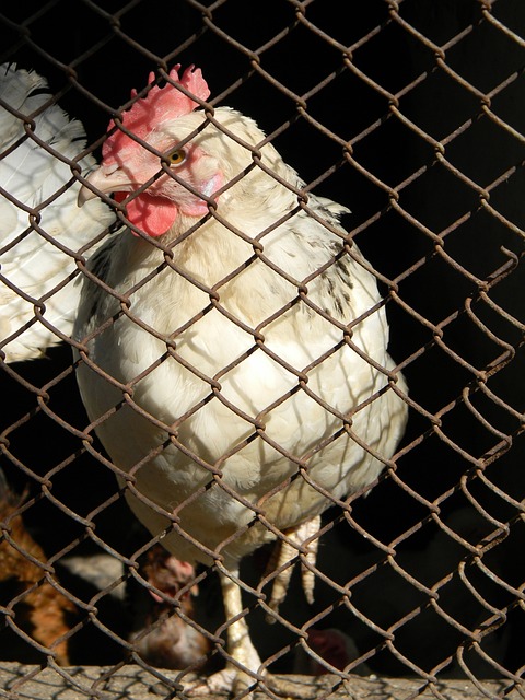 阳能和风能