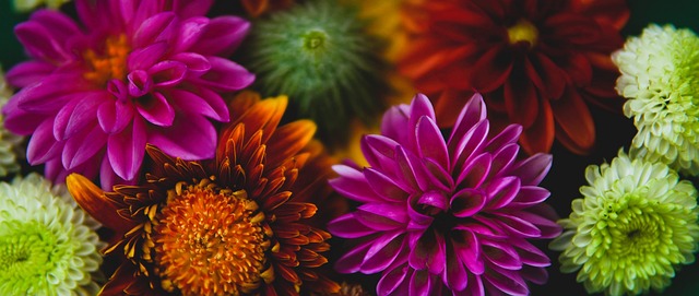 上抢打破对 上抢打破对