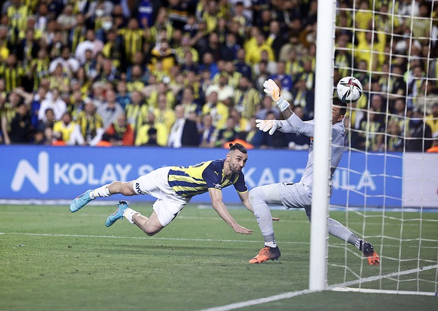 决定都可能 决定都可能