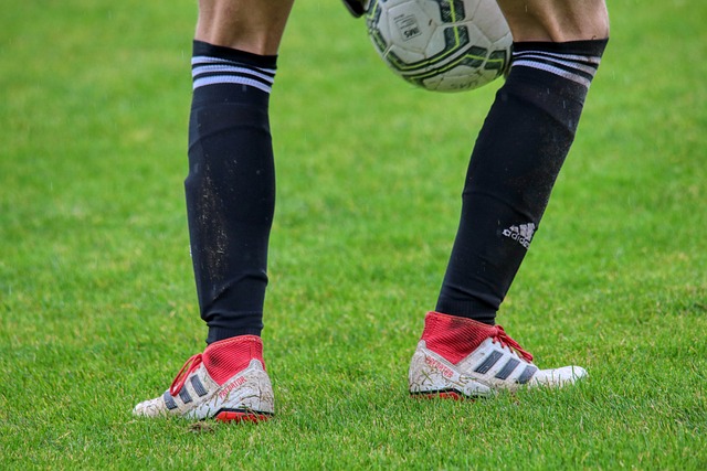 了个人职业 了个人职业