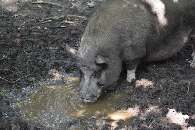 赛季的一则 赛季的一则