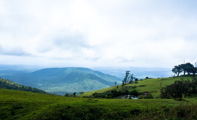 金球奖赔率 金球奖赔率