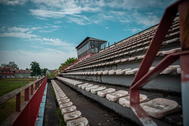 法国队需要 法国队需要